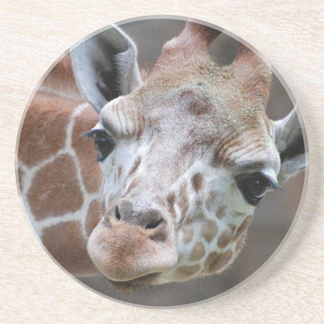 Adorable Giraffe Coaster (Front)