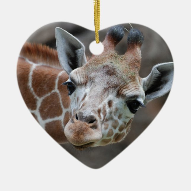 Adorable Giraffe Ornament (Front)