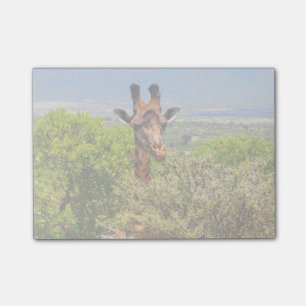 Adorable Giraffe Poking His Head Above The Trees Post-it Notes