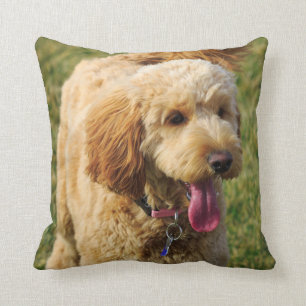 Adorable Golden Doodle Dog Throw Pillow