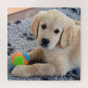 Adorable Golden Retriever Puppy Jigsaw Puzzle