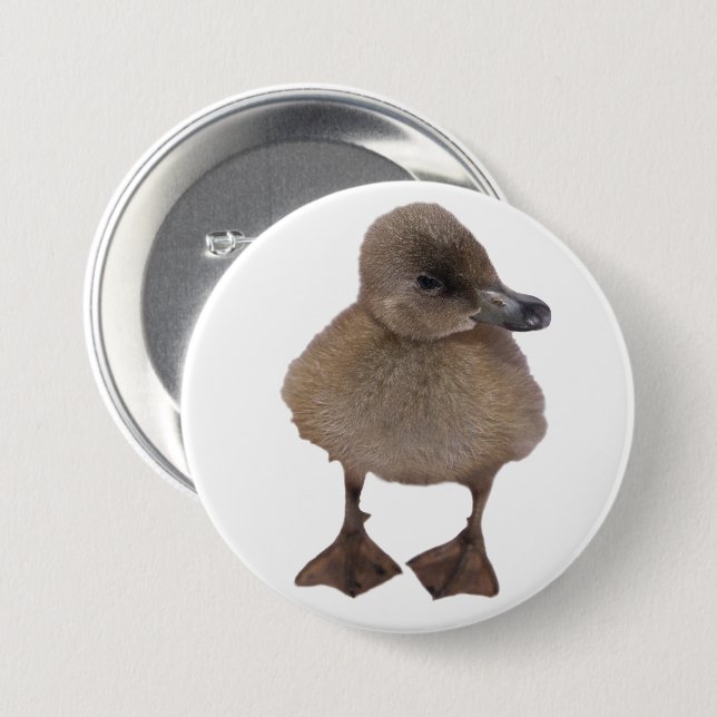 Adorable Grey Duckling Close-Up Photograph 3 Inch Round Button (Front & Back)
