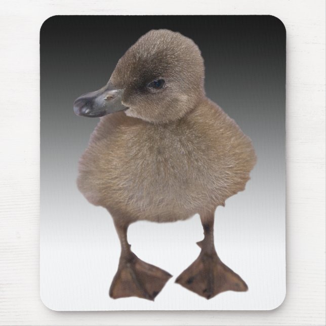 Adorable Grey Duckling Photograph Mouse Pad (Front)