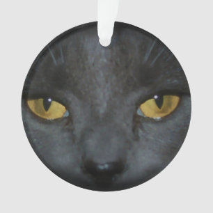 Adorable Grey Kitty Cat Personalized Ornament
