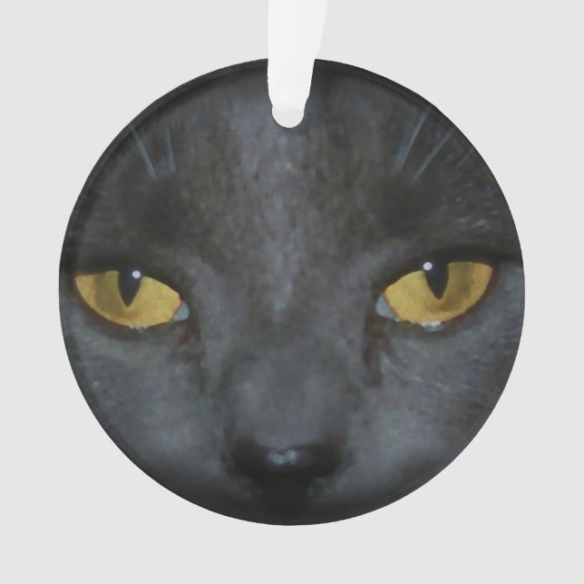 Adorable Grey Kitty Cat Personalized Ornament (Front)