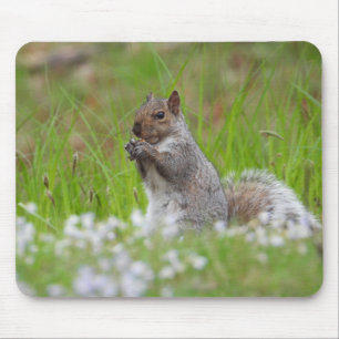 Adorable Grey Squirrel Mouse Pad