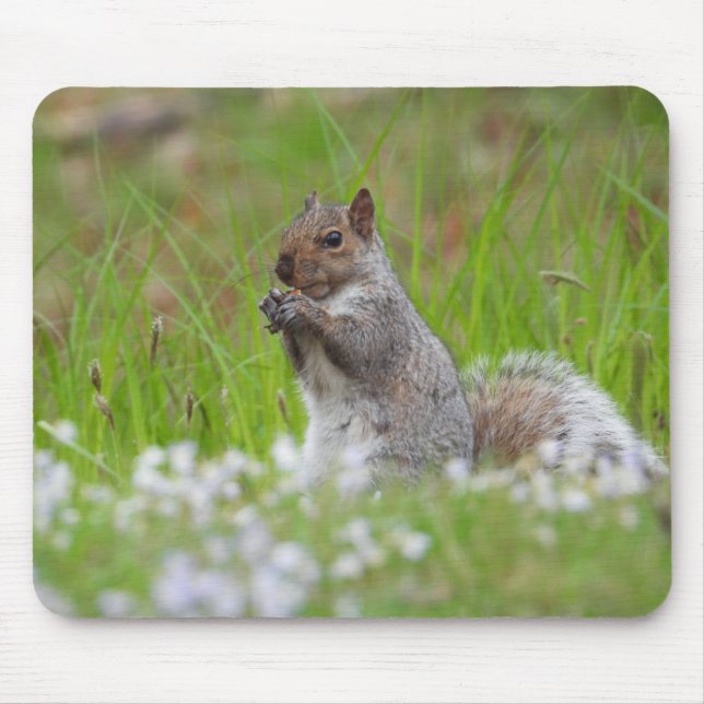 Adorable Grey Squirrel Mouse Pad (Front)