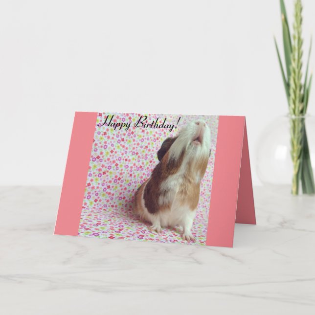 Adorable Guinea Pig Birthday Card (Front)