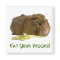 Adorable Guinea Pig Eating Celery Photography