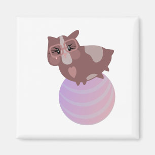 Adorable Guinea Pig on Fitness Exercise Ball Magnet