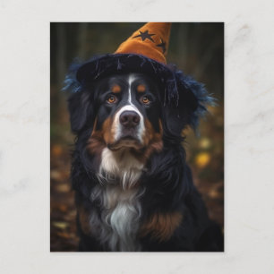 Adorable Halloween Bernese Mountain Dog Postcard