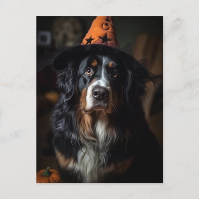 Adorable Halloween Bernese Mountain Dog Postcard (Front)