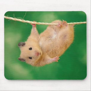 Adorable hamster mousepad