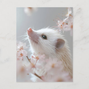 Adorable Hedgehog Among Spring Blossoms Postcard