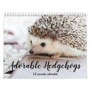 Adorable Hedgehogs 2026 Calendar