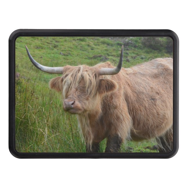 Adorable Highland Cow Trailer Hitch Cover (Front)