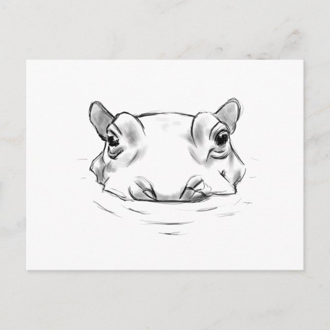 Adorable hippo sketch postcard (Front)