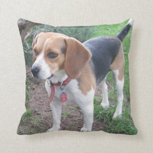 Adorable Houndie Beagle Pillow