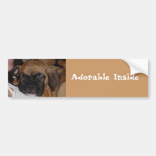 Adorable Inside Bumper Sticker (Front)
