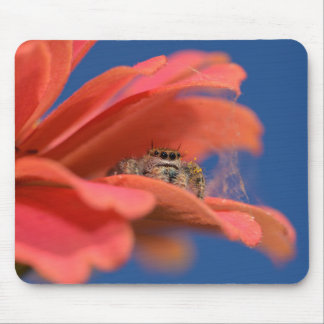 Adorable Jumper peeking out Mouse Pad