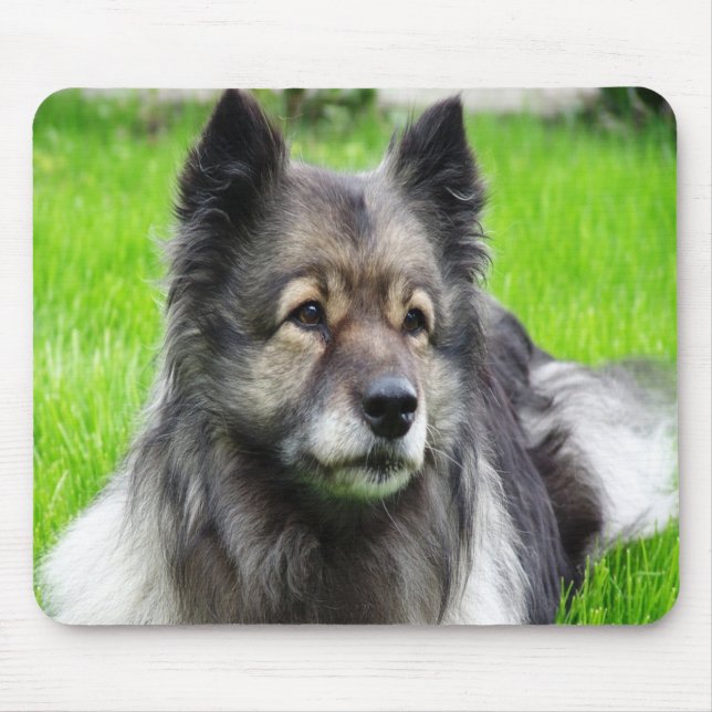 Adorable Keeshond Mouse Pad (Front)