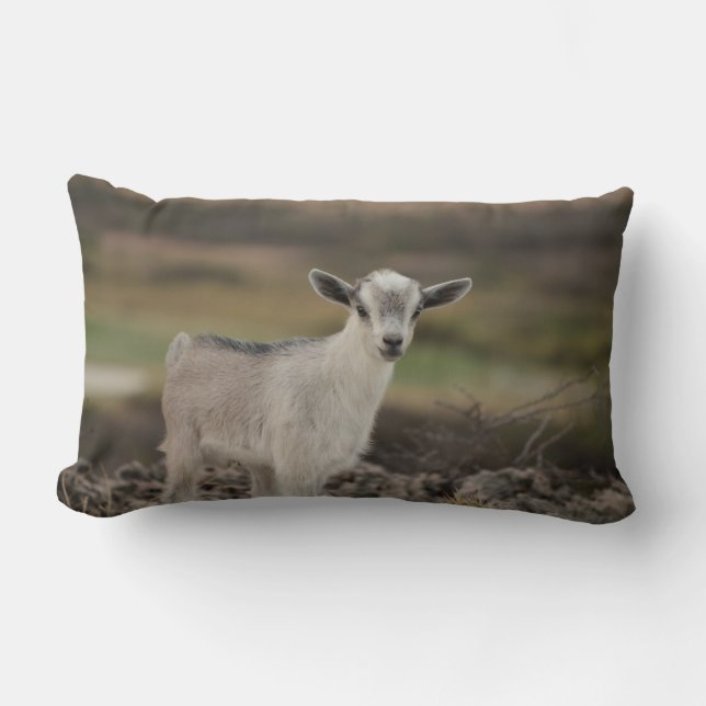 Adorable Kid Goat Lumbar Pillow (Front)