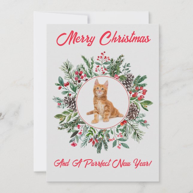 Adorable Kitten Flat Holiday Card (Front)
