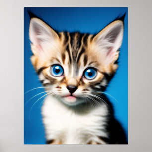 Adorable Kitten Portrait with Beautiful Blue Eyes Poster