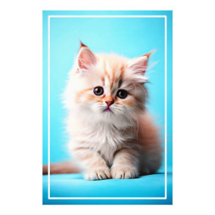 Adorable Kitten with Blue Background Photo Print
