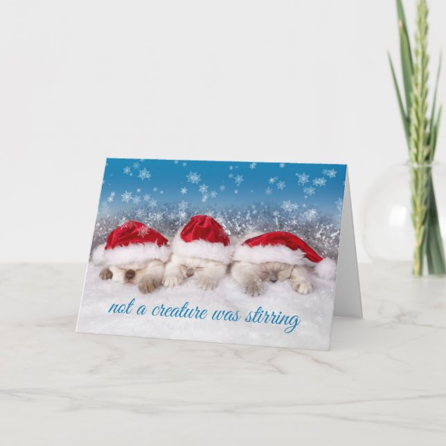 Adorable Kittens in Santa Hats Sleeping Holiday Card (Front)