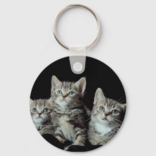 Adorable Kittens Keychain