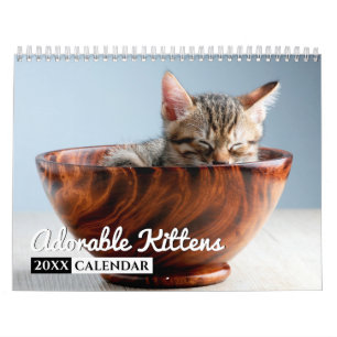 Adorable Kittens Photo Wall Calendar