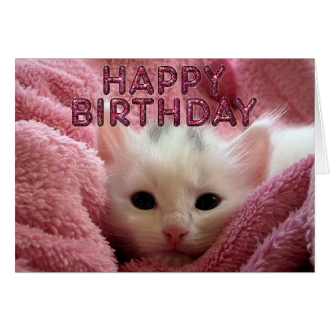 Adorable kitty stay warm (Front Horizontal)