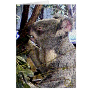 Adorable Koala