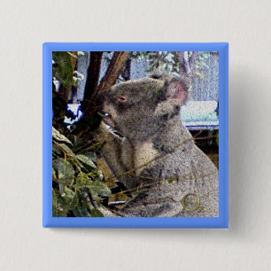 Adorable Koala 2 Inch Square Button