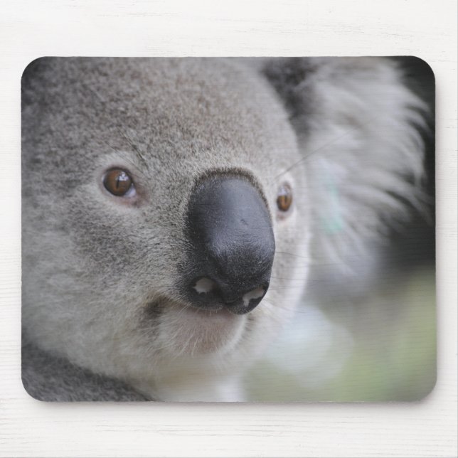 Adorable Koala Bear Mouse Pad (Front)
