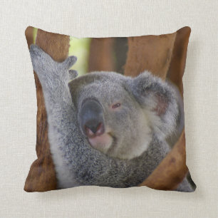 Adorable Koala Bear Pillow
