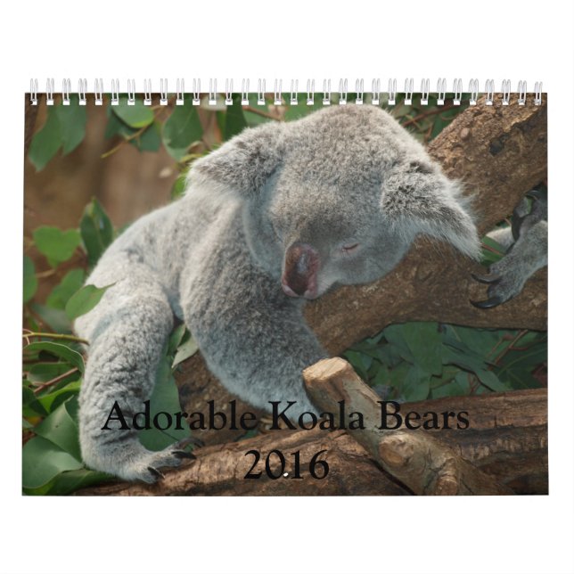 Adorable Koala Bears 2016 Calendar (Cover)