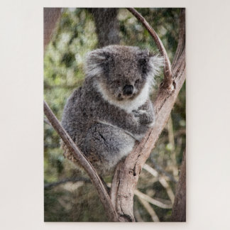 Adorable koala in tree jigsaw puzzle