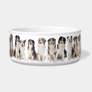 Adorable Large Bowl for the Australian Shepherd.