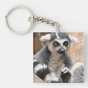 Adorable Lemur Keychain