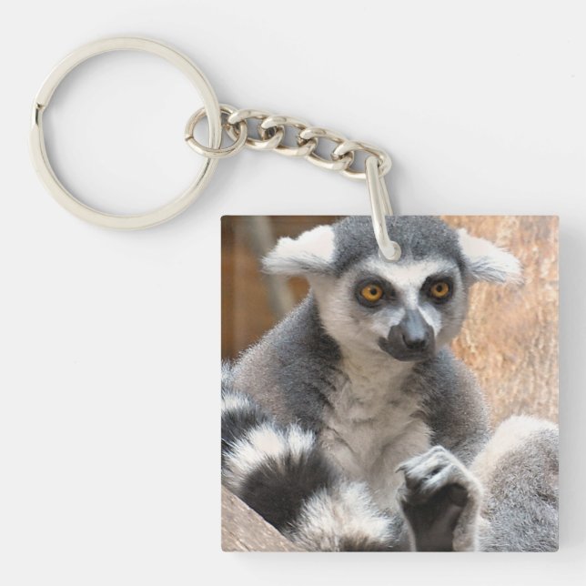 Adorable Lemur Keychain (Front)