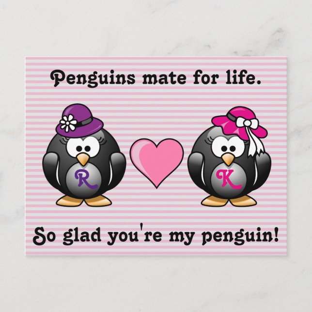 Adorable Lesbian Penguins Two Brides Heart Hat Postcard (Front)