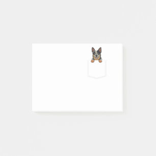 Adorable Little Australian Cattle Dog In The Pocke Post-it Notes