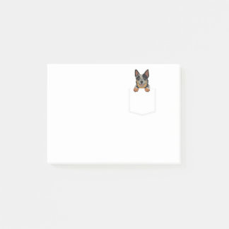Adorable Little Australian Cattle Dog In The Pocke Post-it Notes