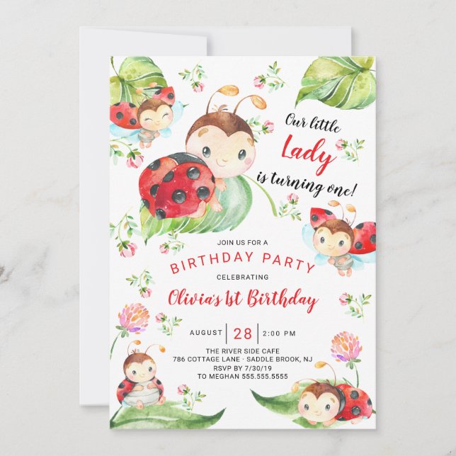 Adorable Little Lady Ladybug 1st Birthday Invitation (Front)