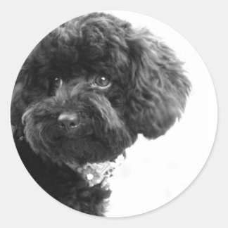 Adorable Loving Friend Classic Round Sticker