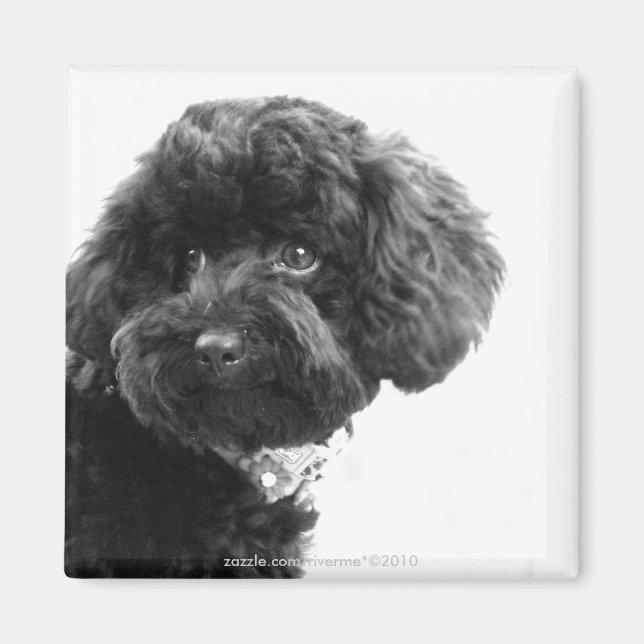 Adorable Loving Friend Magnet (Front)
