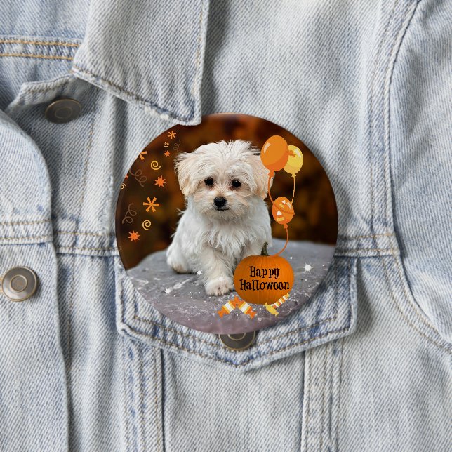 Adorable maltese puppy celebrates Halloween Button (In Situ)