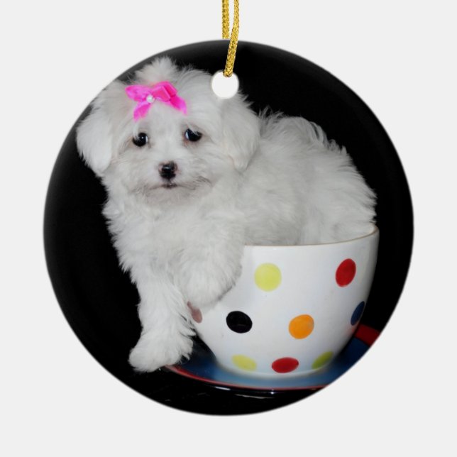Adorable Maltese Puppy Ceramic Ornament (Front)